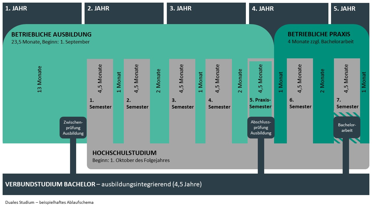 Ablaufplan Duales Studium